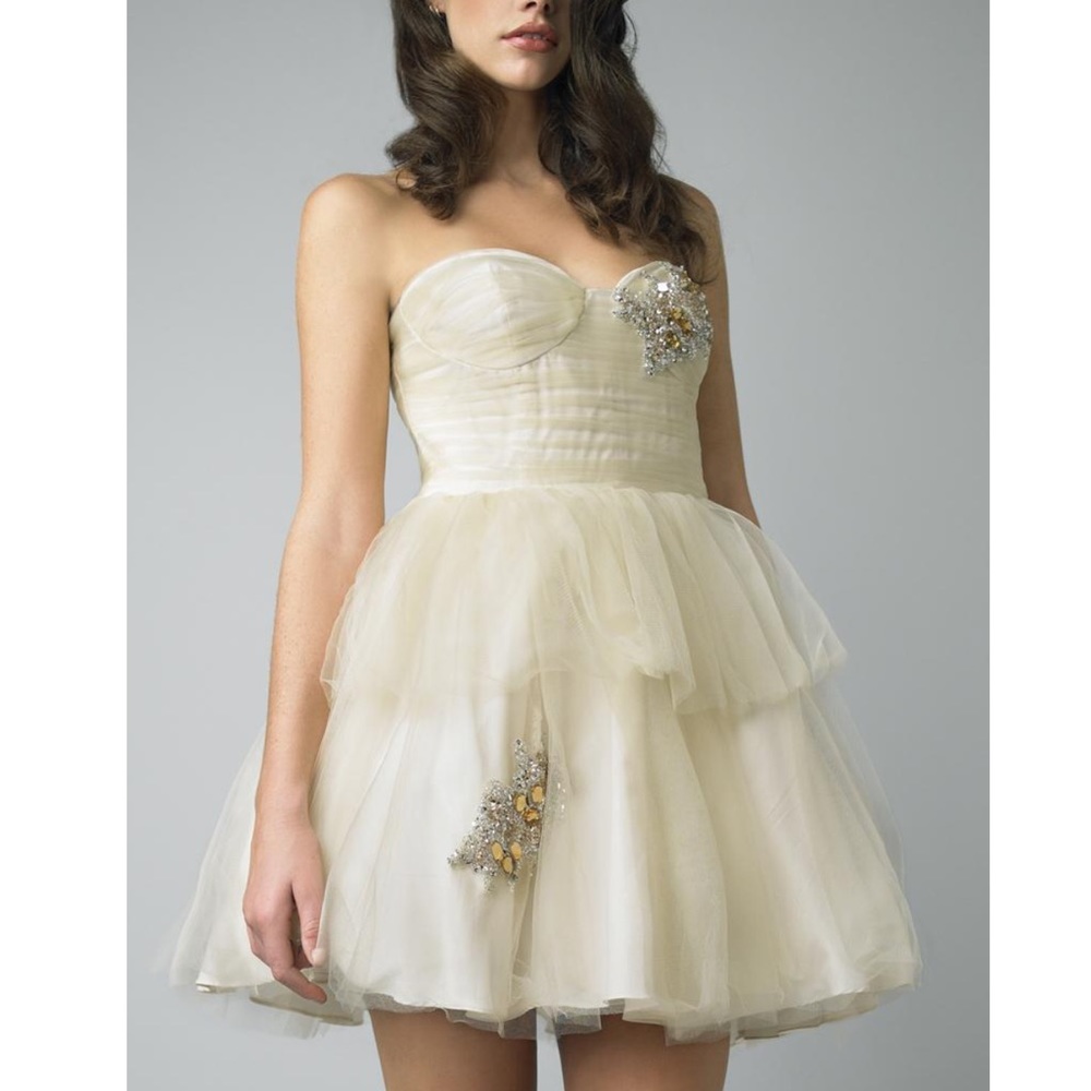 Basix Black Label Tulle Cocktail/Prom Dress